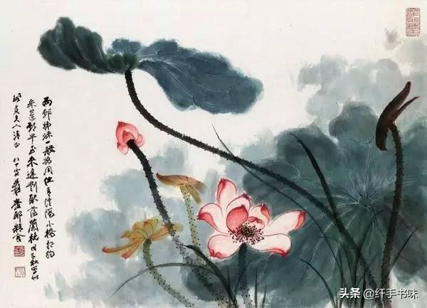 描写荷花的美文《荷园踏香行》图1