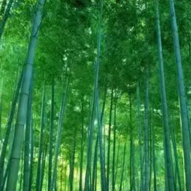 关于坚信爱情的美文欣赏图2