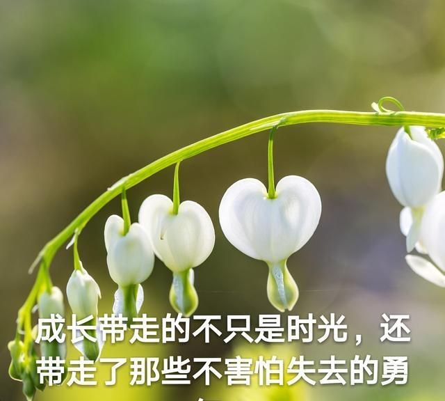 励志又温暖的朋友圈励志语录图1