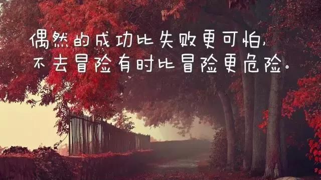 励志又温暖的朋友圈励志语录图3