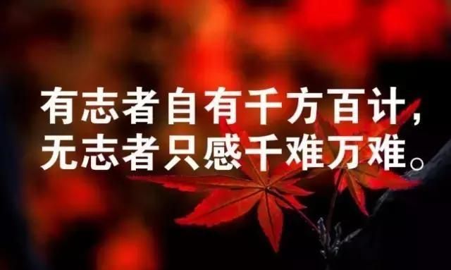 励志又温暖的朋友圈励志语录图4