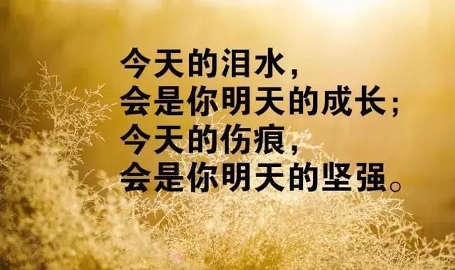 励志又温暖的朋友圈励志语录图6