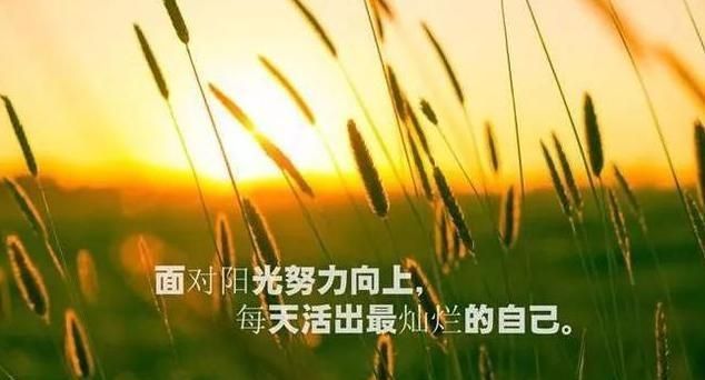 励志又温暖的朋友圈励志语录图7