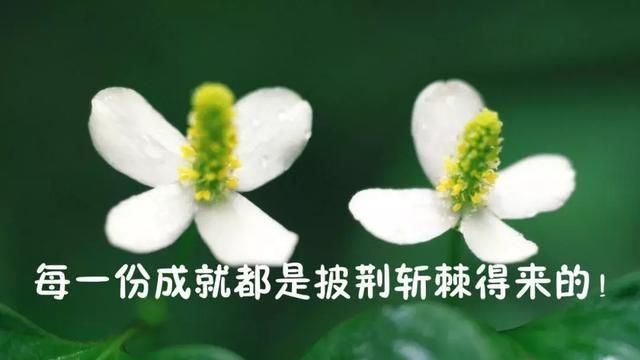 励志又温暖的朋友圈励志语录图8