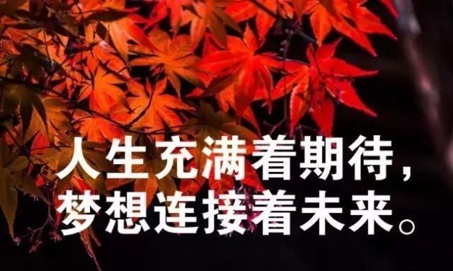 励志又温暖的朋友圈励志语录图9