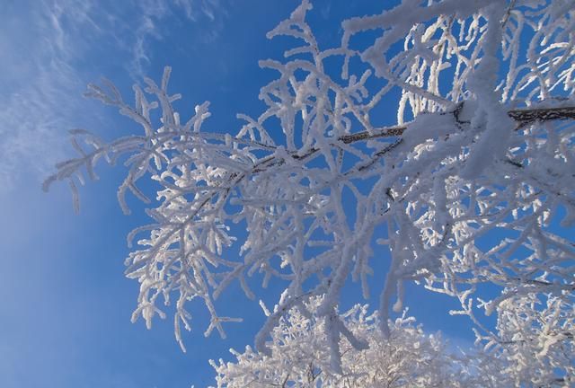 收藏雪花，收藏一个冬天：人总是向往惦念着远方而忽略身边的美好