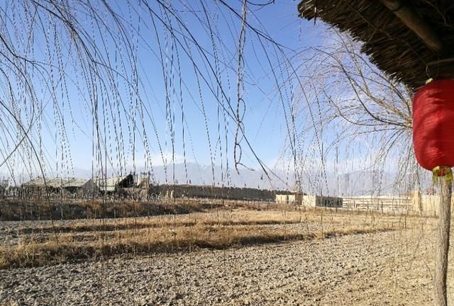 有些事注定无法改变，不如接受；有些人注定无法挽留，不如相送