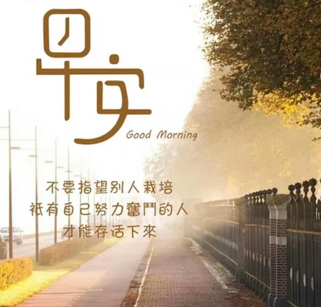 早安正能量励志语录语录句子分享图2