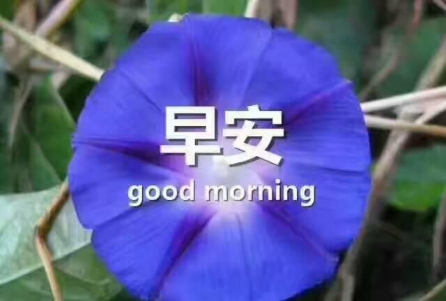 早安正能量励志语录语录句子分享图5