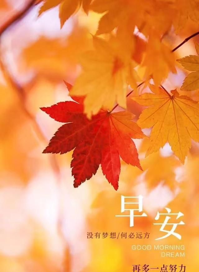 早安正能量励志语录语录句子分享图7