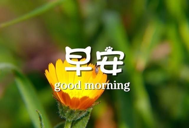 早安正能量励志语录语录句子分享图8