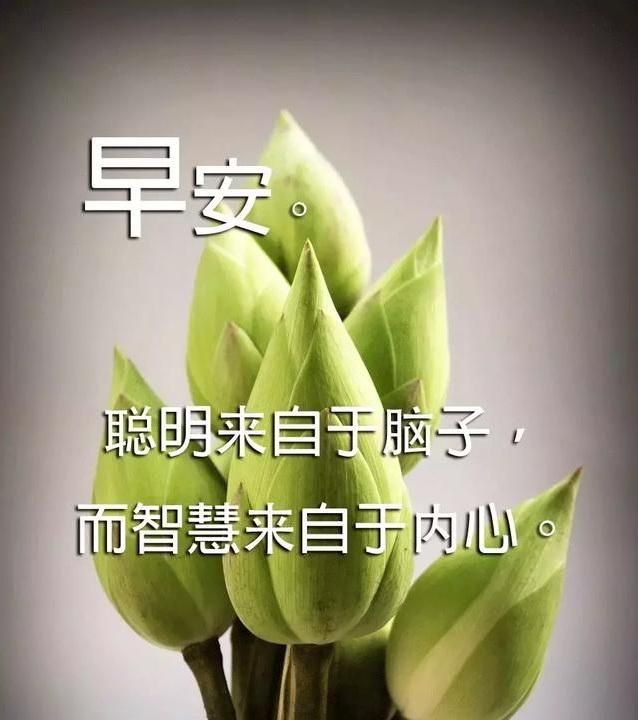 早安正能量励志语录语录句子分享图10