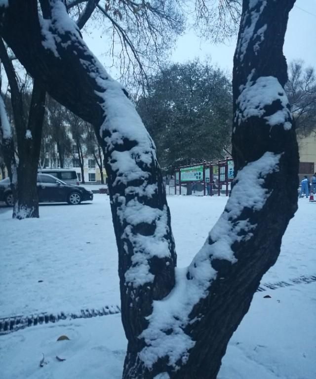 云容山意商量雪，柳眼桃腮领略春