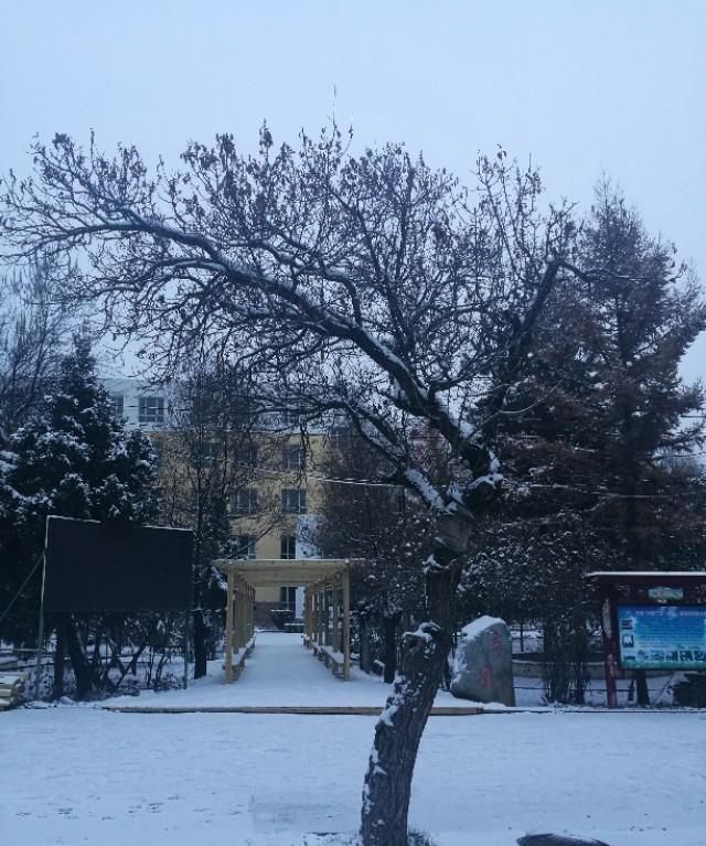 云容山意商量雪，柳眼桃腮领略春