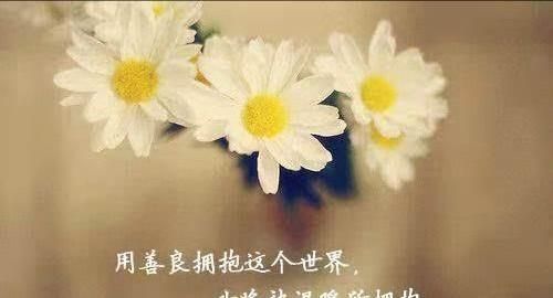 善良无价，人间有情；人心自知，不问西东