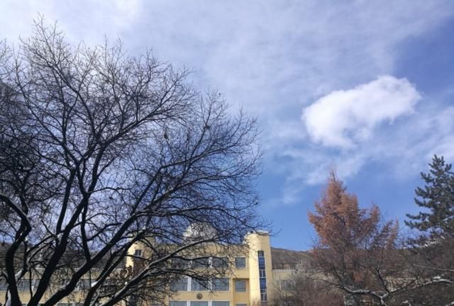 随笔化作文：当心灵在书店找到归宿