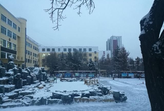 随笔化写作：雪是洁白的，也是无力的