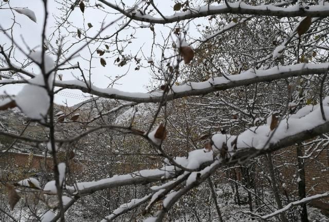 雪中的黄南州中学很是宁静，格外安详，充满书香