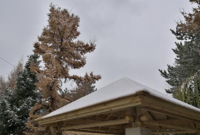 雪中的黄南州中学很是宁静，格外安详，充满书香