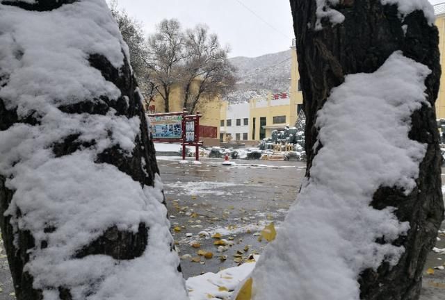 雪中的黄南州中学很是宁静，格外安详，充满书香