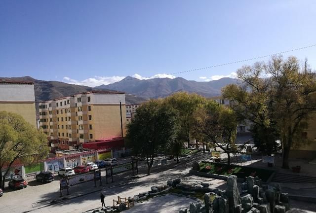 没有大树的校园是荒芜的：树是校园的风景，更是校园的灵魂