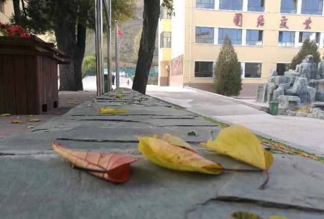 黄南深秋校园里的落叶，似诗如画，让我想念家乡了