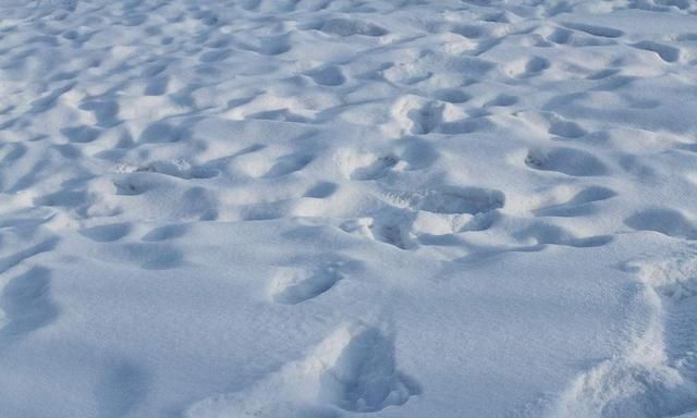 随笔：我讨厌雪，我分不清雪到底是天使的微笑还是恶魔的冷酷？