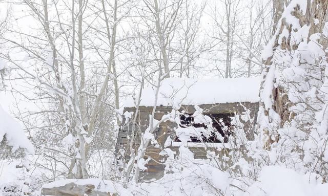 随笔：我讨厌雪，我分不清雪到底是天使的微笑还是恶魔的冷酷？