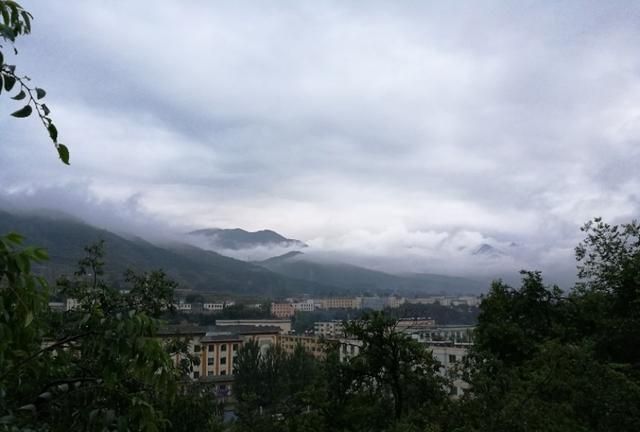 树叶飘落的地方