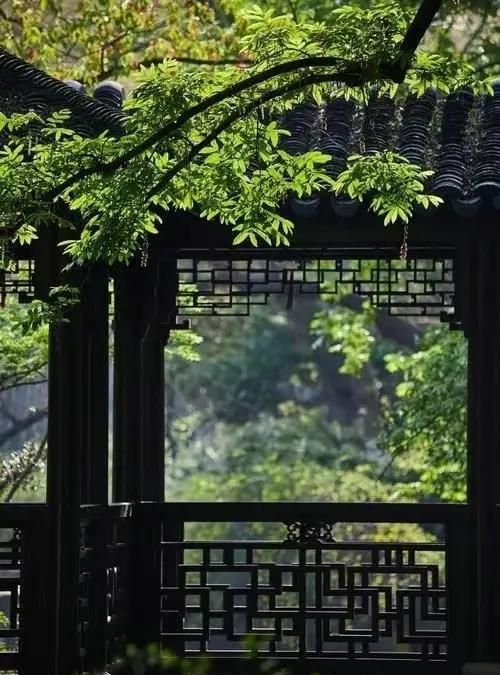 浅相遇，暖相知，人生最美四月天