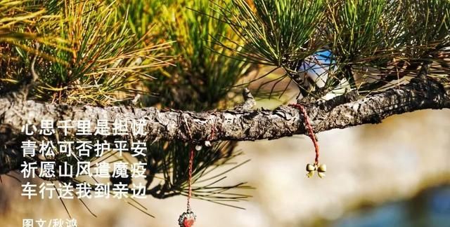 苍天你可有泪