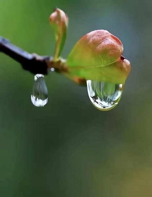 晚春深情花辞树，入夏细雨青石路