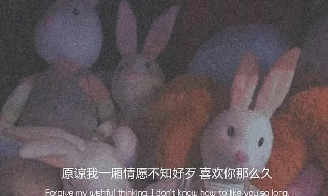30句热搜伤感短句：总有一条能触动你的心