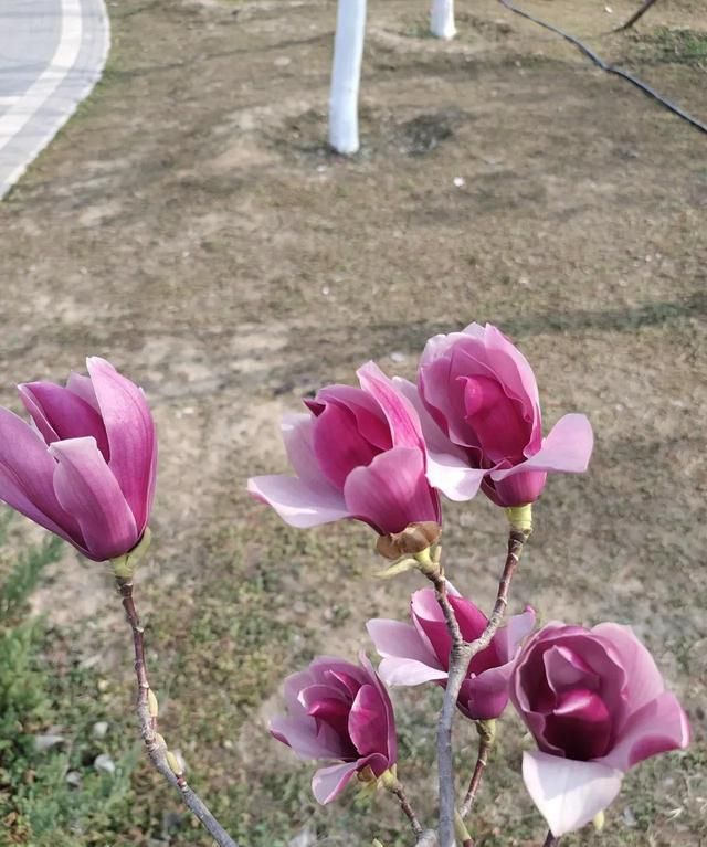 四月，温情可期，岁月静好