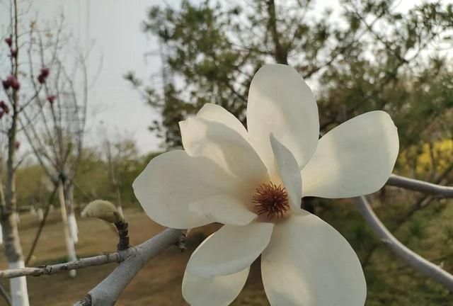 四月，温情可期，岁月静好