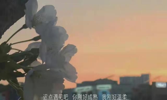 一些emo的高级情绪文案
