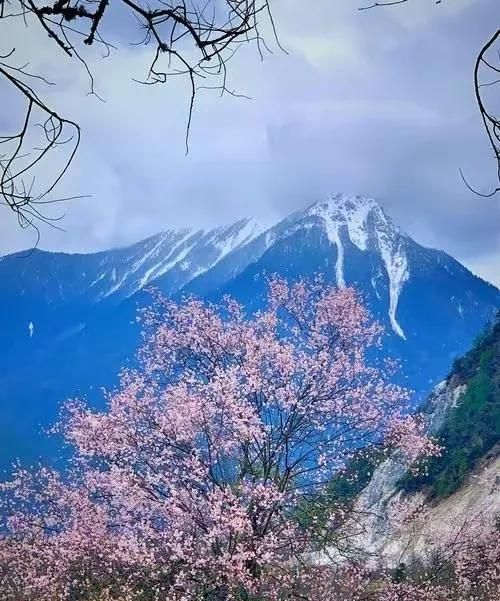 往事如烟，谁陪流年赏花开？字字落红颜