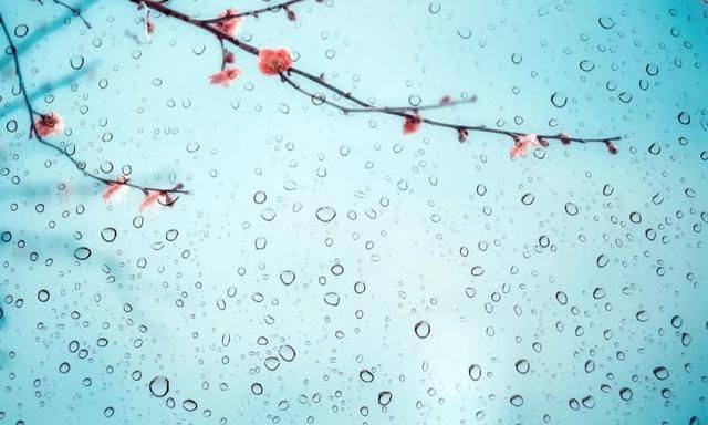 岁月缠绵，等来一树花开
