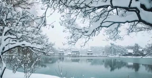 陌上飞雪，不负隆冬，愿新春有爱，时光悠长