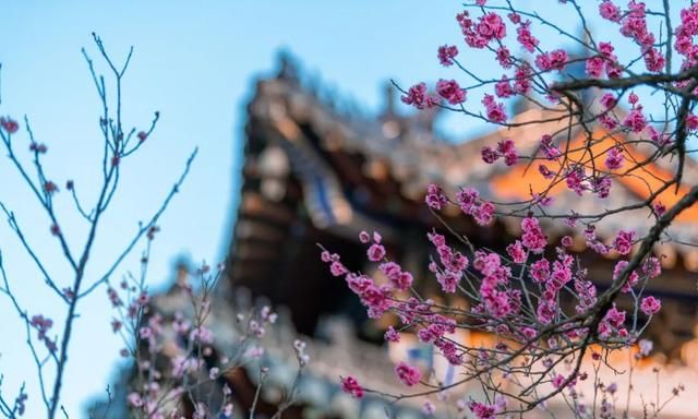 岁月匆匆，一路向暖