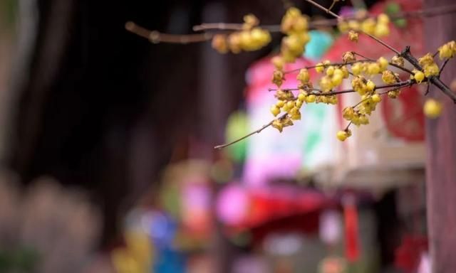 岁月匆匆，一路向暖