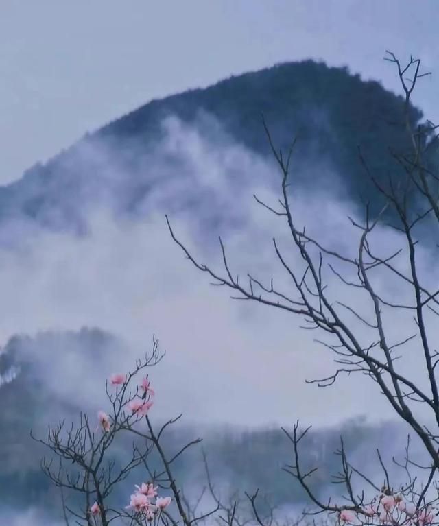 一岁一清明，阴阳两相隔，四月梨花雨，泪洒祭祖节