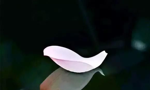 心若安好，岁月留香