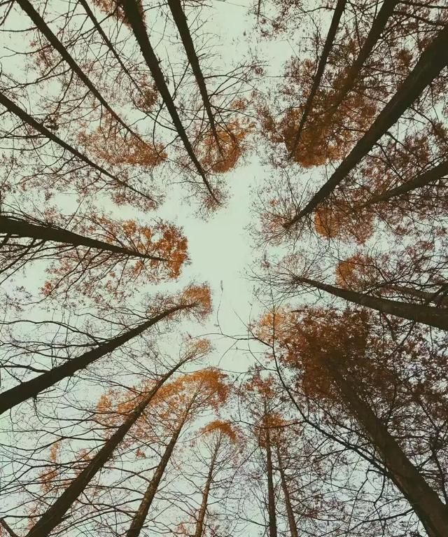 心有温暖，不惧风寒，轻挽如诗的岁月，逐梦烟火人生