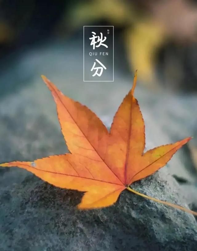 秋分，秋雨，遇秋凉