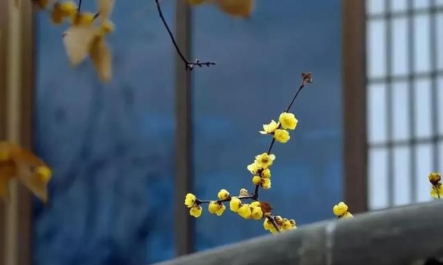 时光止步，孤独生香，等候是岁月里的一隅荒凉