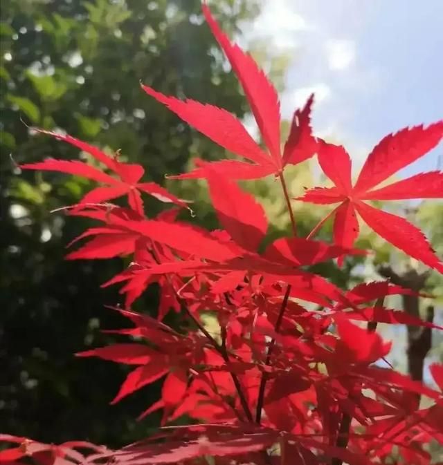 散文：找一份悠闲，去听秋雨的诉说