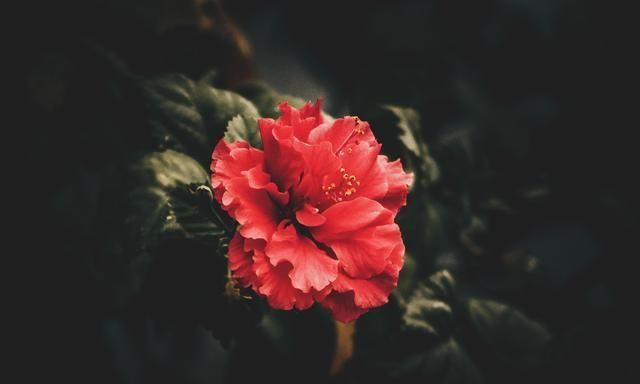 读懂这39句脍炙人口的老人言，人生就有了方向（智慧箴言）