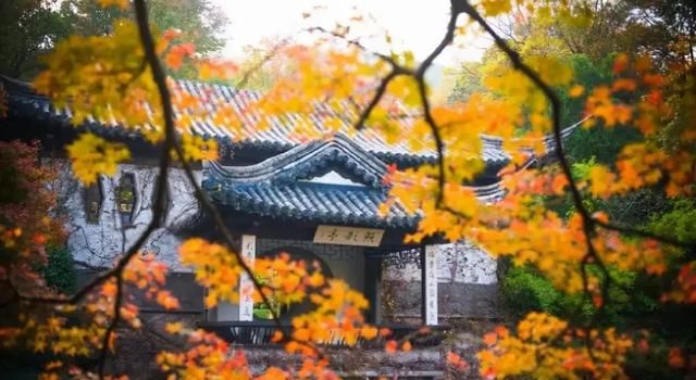 秋浅情深，藏不住岁月的美丽