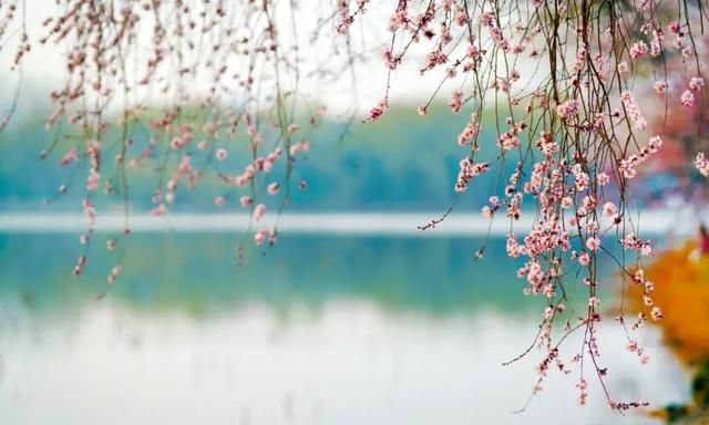往后余生，愿你笑靥如花，开心似水，活出最美的自己